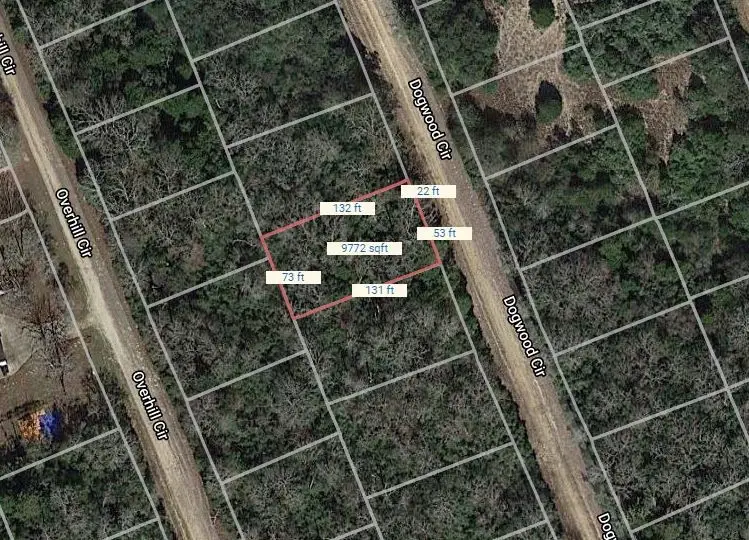 Lot 8 Dogwood Circle, Normangee, TX 77871 - Image #2