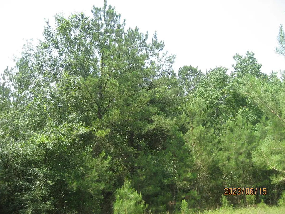 0 Round Up Road, Waller, TX 77484 - #1