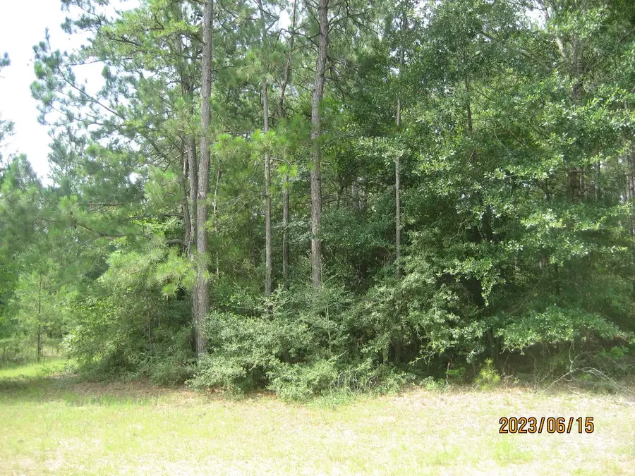 0 Round Up Road, Waller, TX 77484 - #2