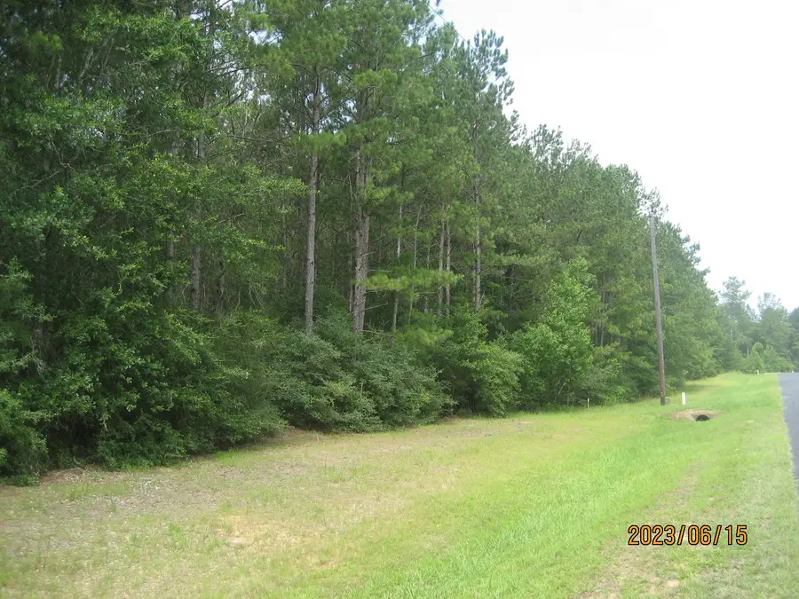 0 Round Up Road, Waller, TX 77484 - #3