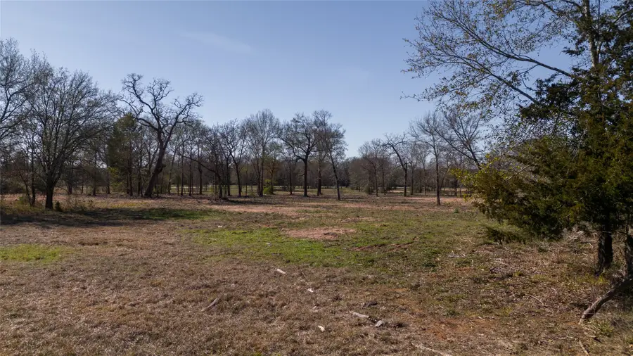 Tbd Tract 6 Wallace Rd, Madisonville, TX 77864 - Image #2