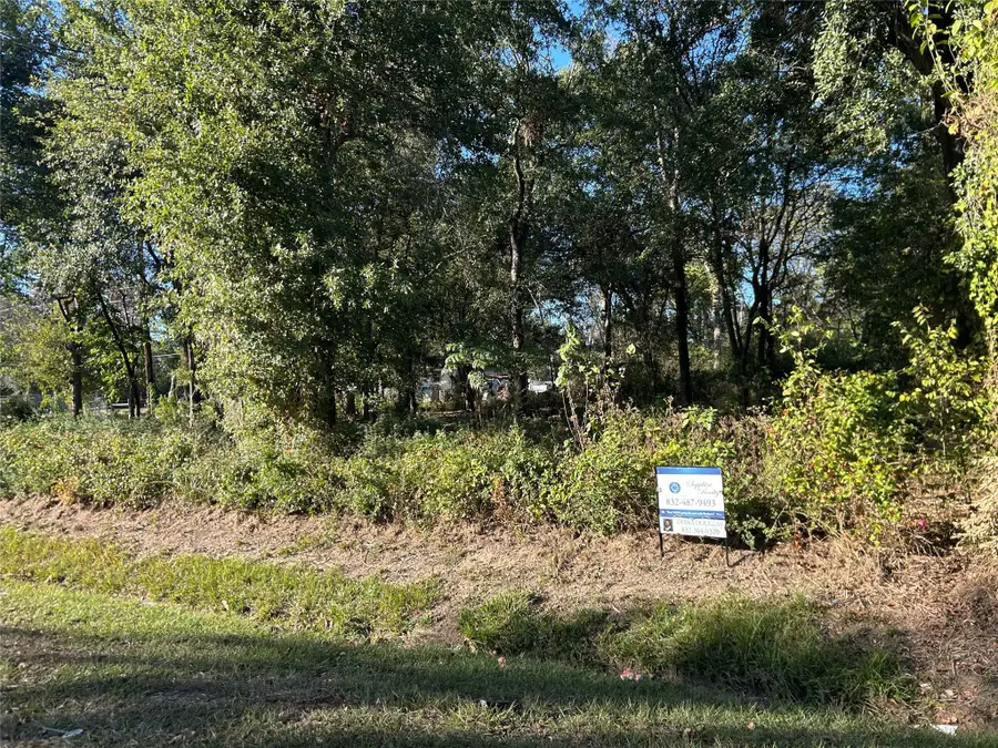 0 Wells, Spring, TX 77373 - Image #2