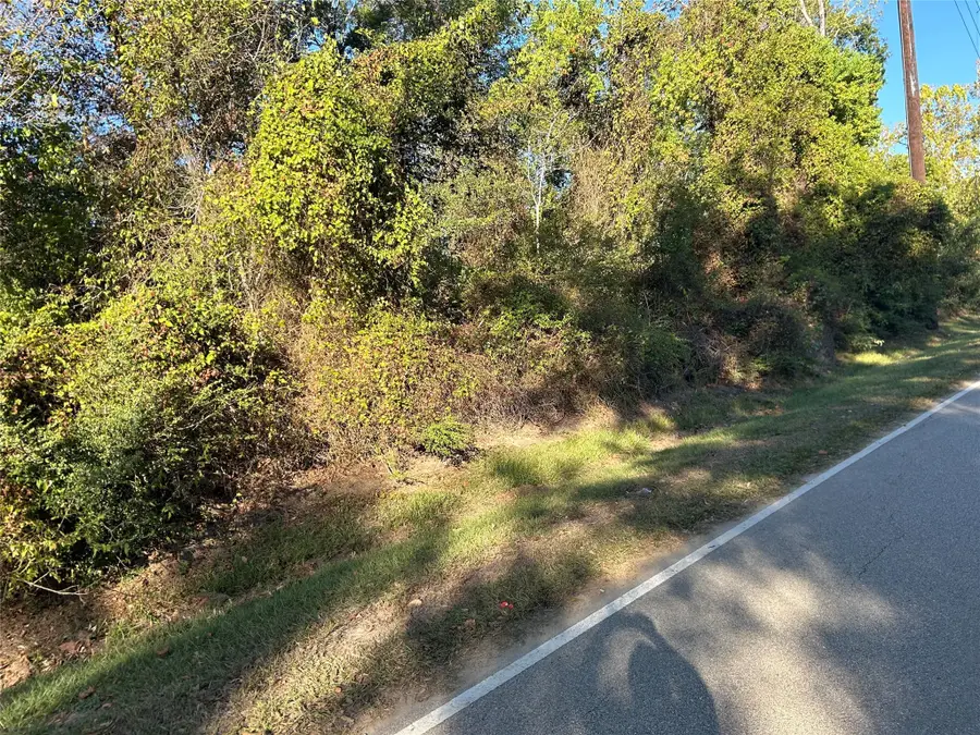 0 Wells, Spring, TX 77373 - Image #3