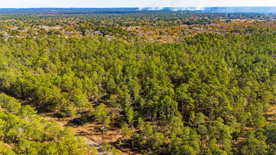 036 Sportsman Retreat Road, Onalaska, TX 77360 - Image #2