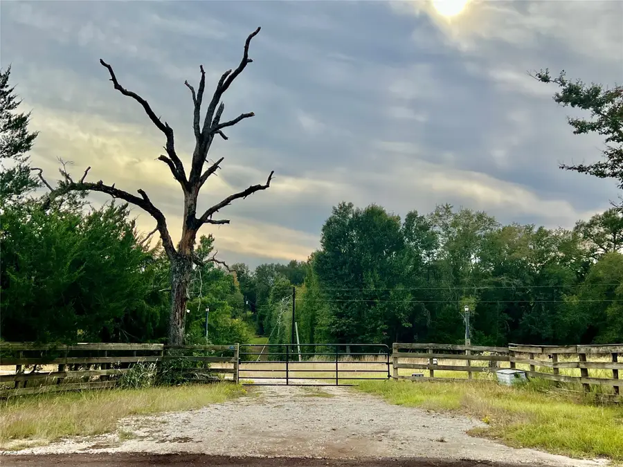 4952 County Road 428, Marquez, TX 77865 - #3