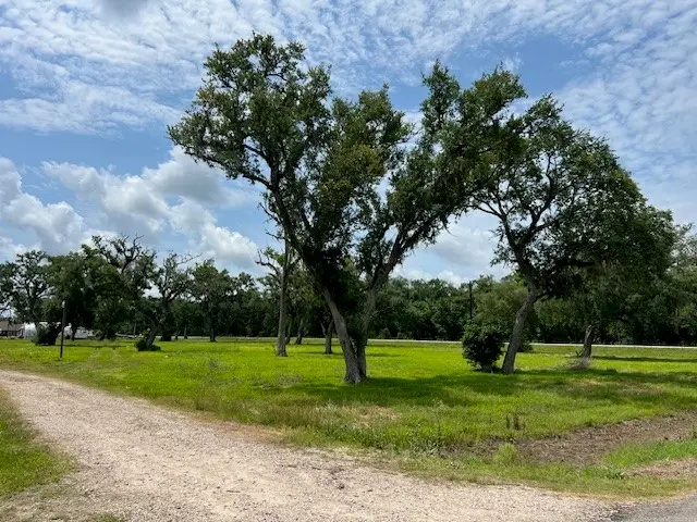 6018 County Road 802, Brazoria, TX 77422 - Image #3