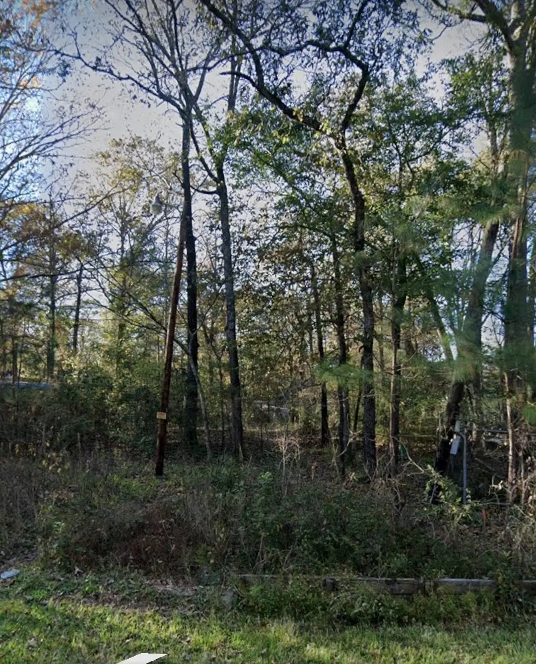 5776 Bonham Lane, Willis, TX 77378 - Image #1