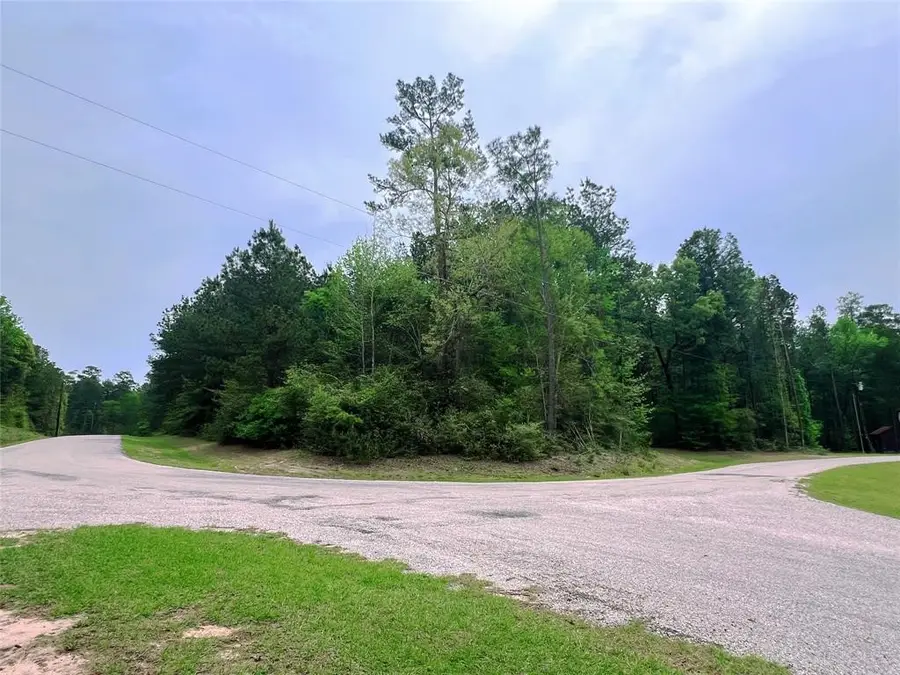 1-2-33 Dedication Trail, Huntsville, TX 77340 - #2