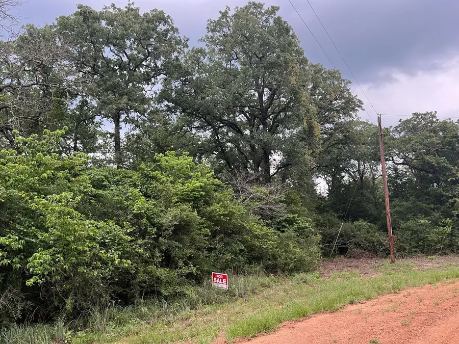 2 Navarro Drive, Normangee, TX 77871 - Image #3