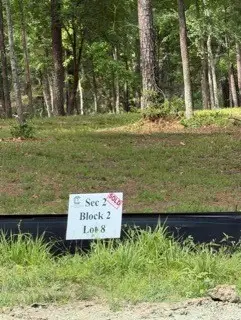 139777 Capital Creek Ranch Boulevard, Willis, TX 77378 - #2