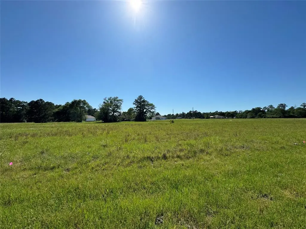 20 Sandy Springs, Trinity, TX 75862 - Image #1