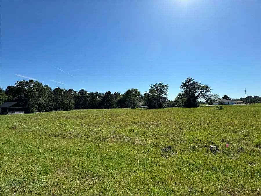 20 Sandy Springs, Trinity, TX 75862 - Image #2