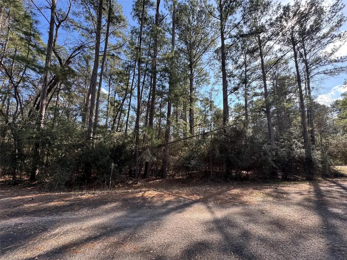 TBD White Oak Street, Trinity, TX 75862 - Image #1