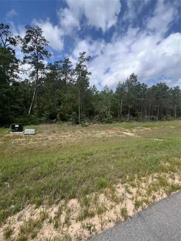 16229 Ridge Oak Road, Willis, TX 77378