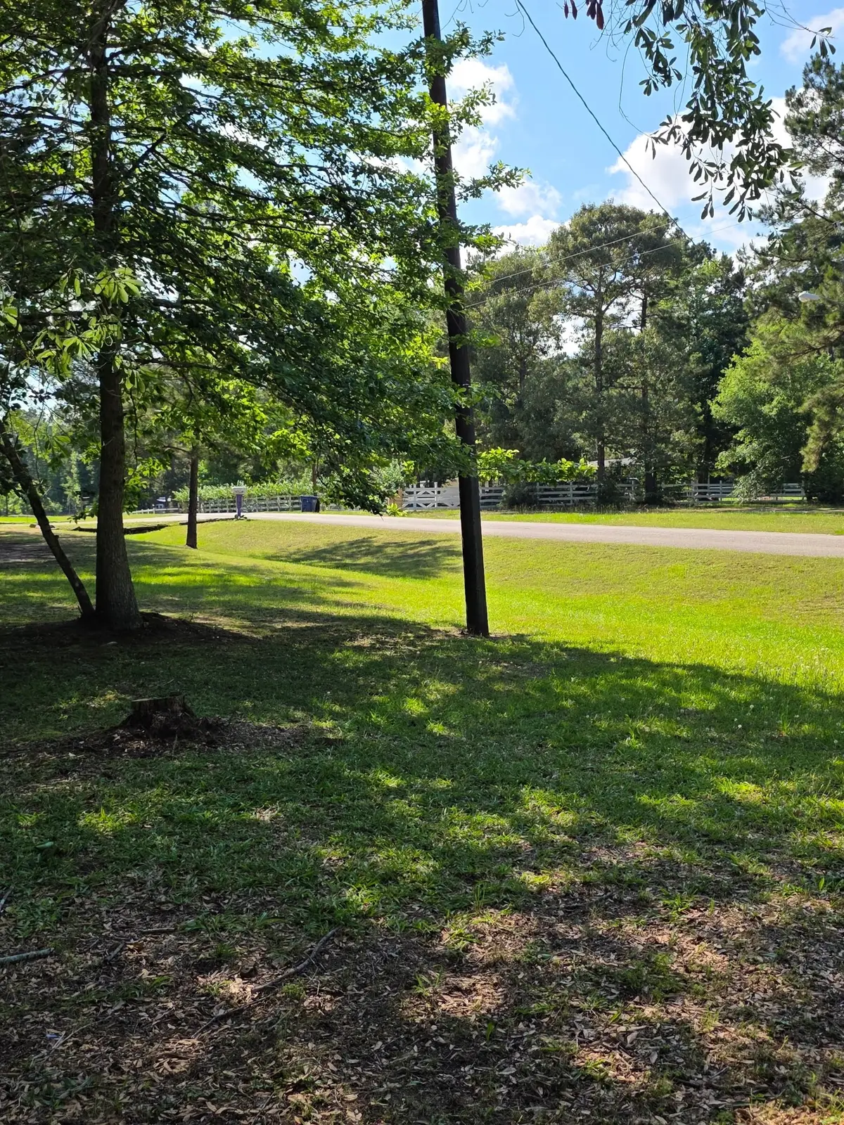 25356 Pine Knob Drive, Cleveland, TX 77328 - #1