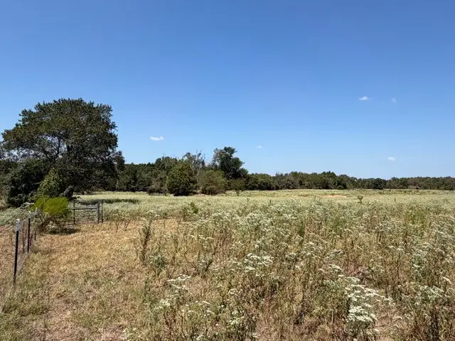 2 ac Acr 2604, Tennessee Colony, TX 75861 - #1