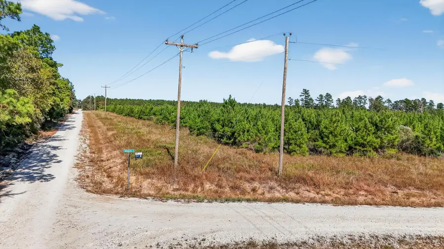 625 Trinity Trail, Lovelady, TX 75851 - Image #2