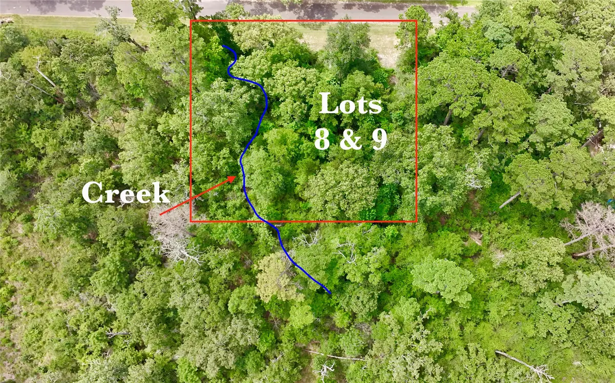 TBD China Berry Street, Onalaska, TX 77360 - #1