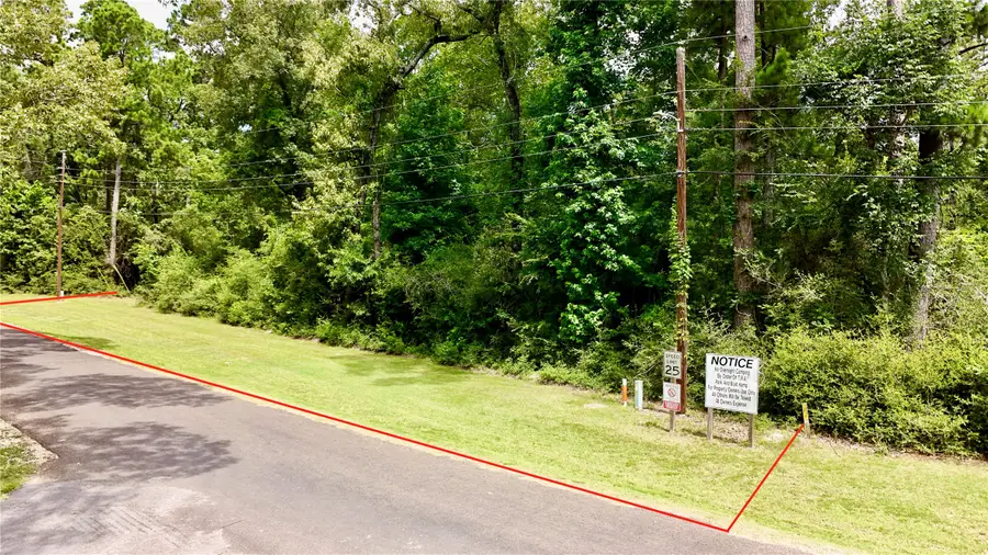 TBD China Berry Street, Onalaska, TX 77360 - #3