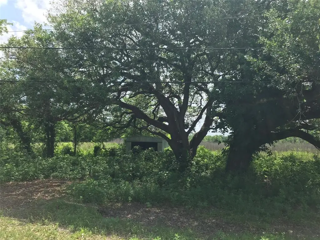 6731 N Masters St, Manvel, TX 77578 - Image #1