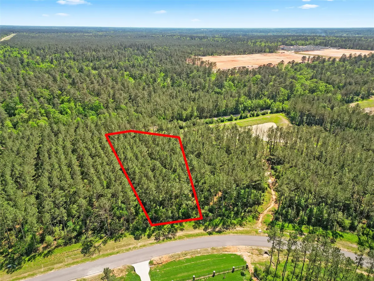 15297 Forest Grove Drive, Willis, TX 77378 - #1