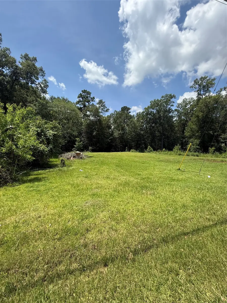 Lot 17, 18 Frontier Rd, Willis, TX 77378 - #3