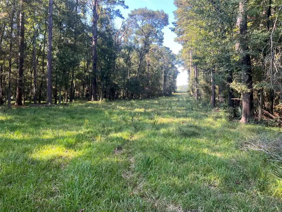 00 Hardy Bottom Road, Huntsville, TX 77340 - #3