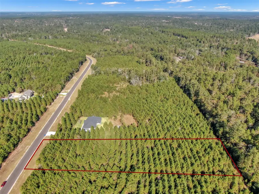 12007 High Branch Way, Willis, TX 77378 - Image #2