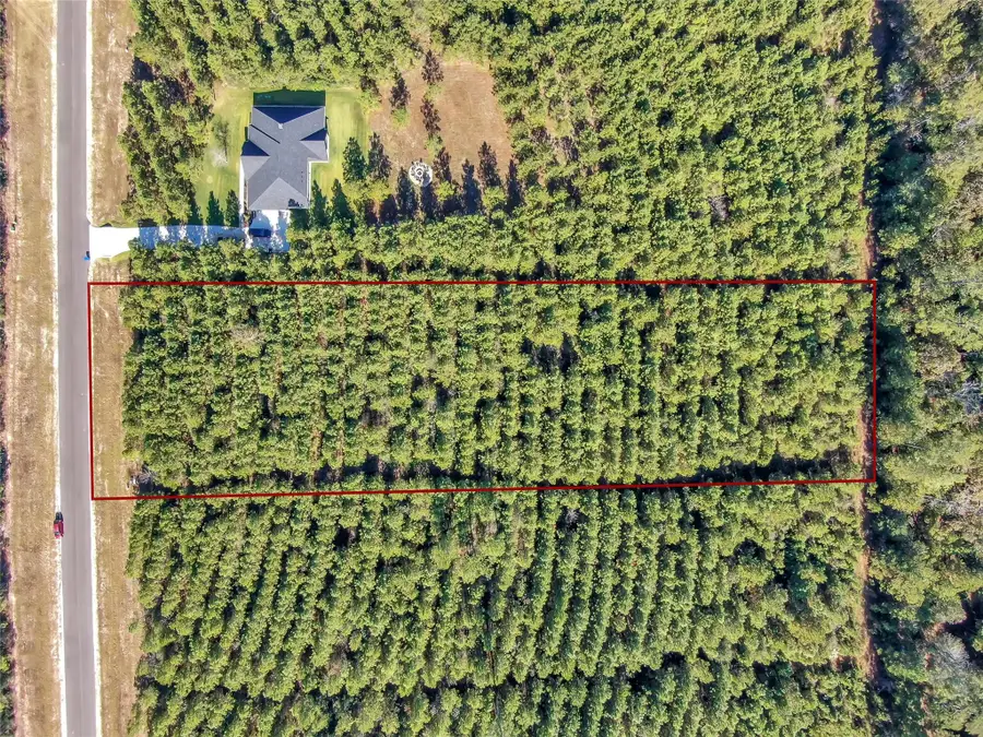 12007 High Branch Way, Willis, TX 77378 - Image #3