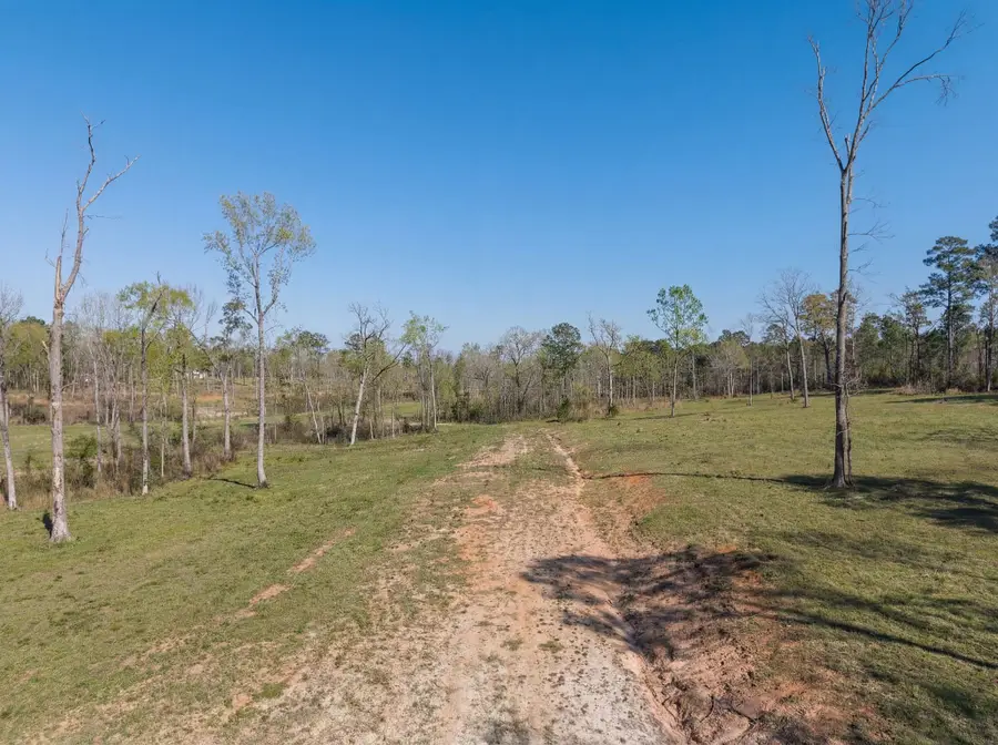 Lot 12 Fm 350 N, Livingston, TX 77351 - #3