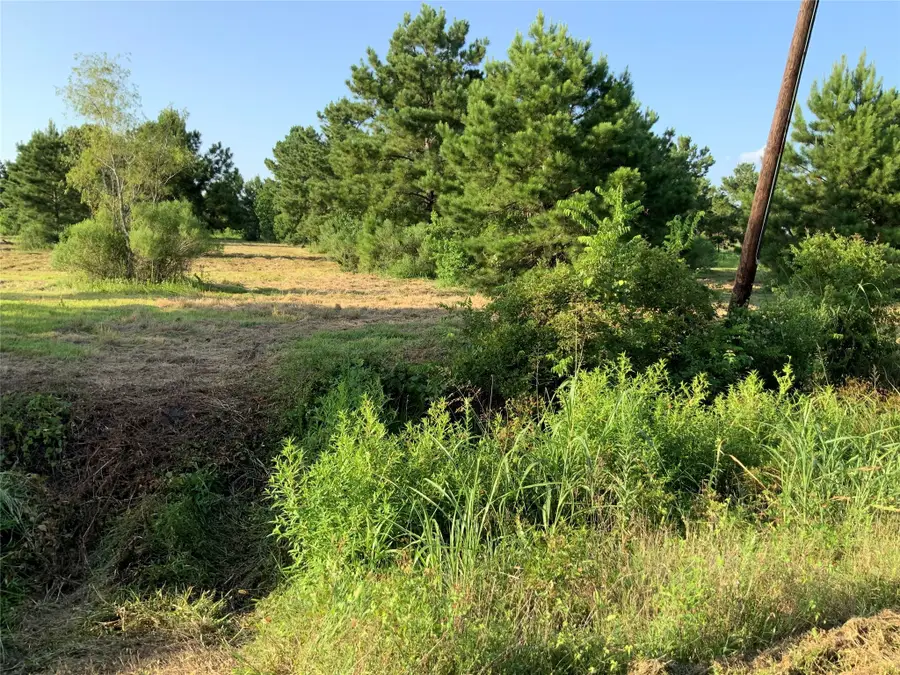 0 Fm-686 Lot 2, Dayton, TX 77535 - Image #3