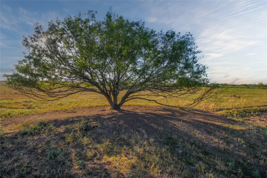 00 Cunningham, Nocona, TX 76255 - #3