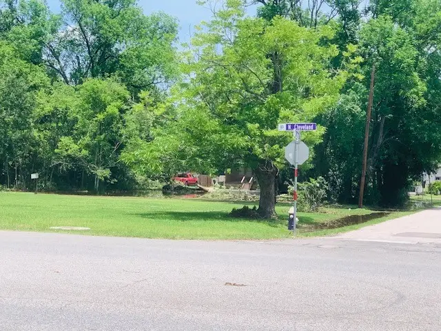 3505 N Cleveland Street, Dayton, TX 77535 - #2