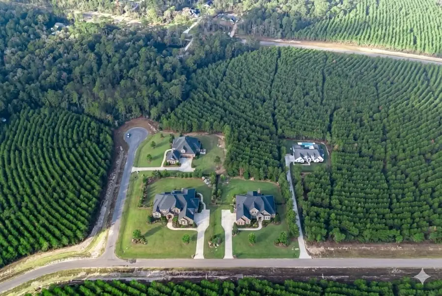 16320 Ridge Oak Road, Willis, TX 77378 - #2