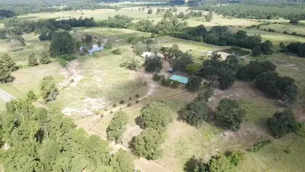 4668 E Fm 1280, Groveton, TX 75845