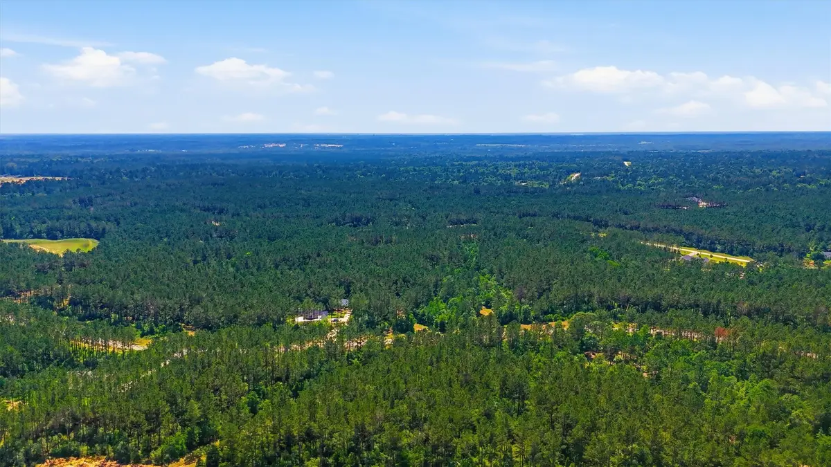 15388 Forest Grove Drive, Willis, TX 77378 - #1