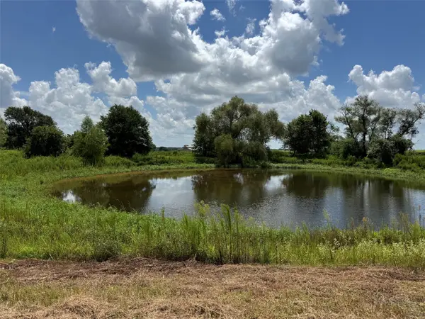 24233 Nine Bar Road, Hempstead, TX 77445