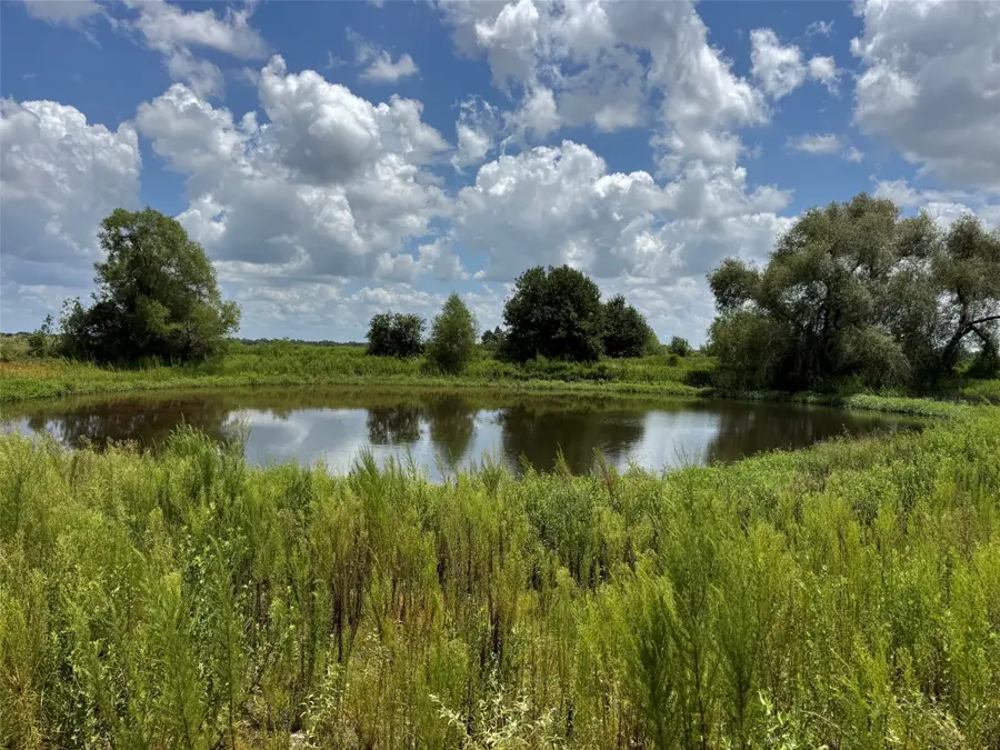 24233 Nine Bar Road, Hempstead, TX 77445 - #2