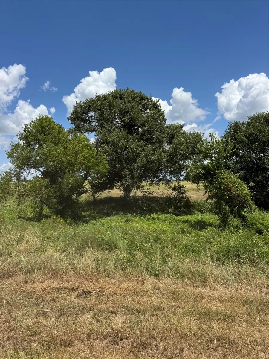 24233 Nine Bar Road, Hempstead, TX 77445 - #3