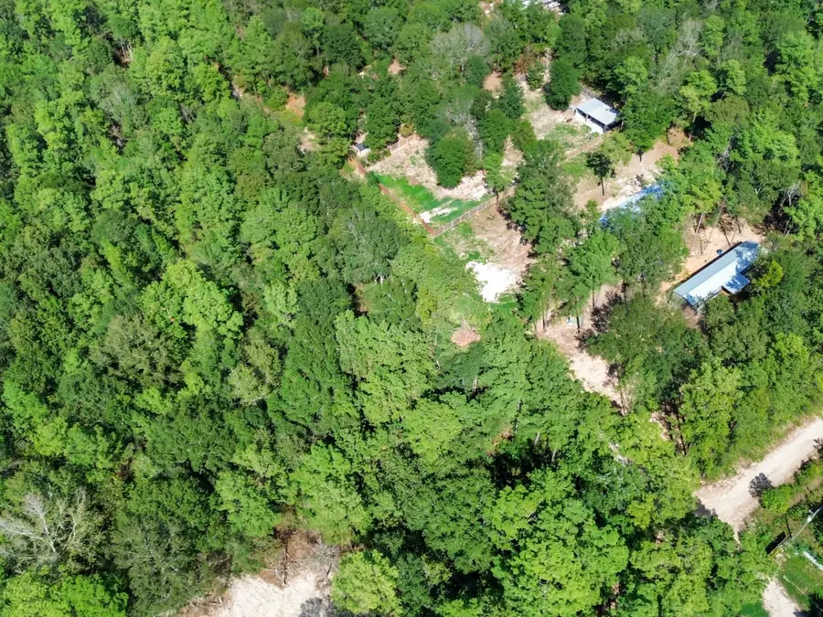 19176 Leicester, New Caney, TX 77357 - Image #2