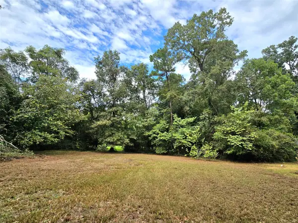 81 E Bishop Road, Point Blank, TX 77364