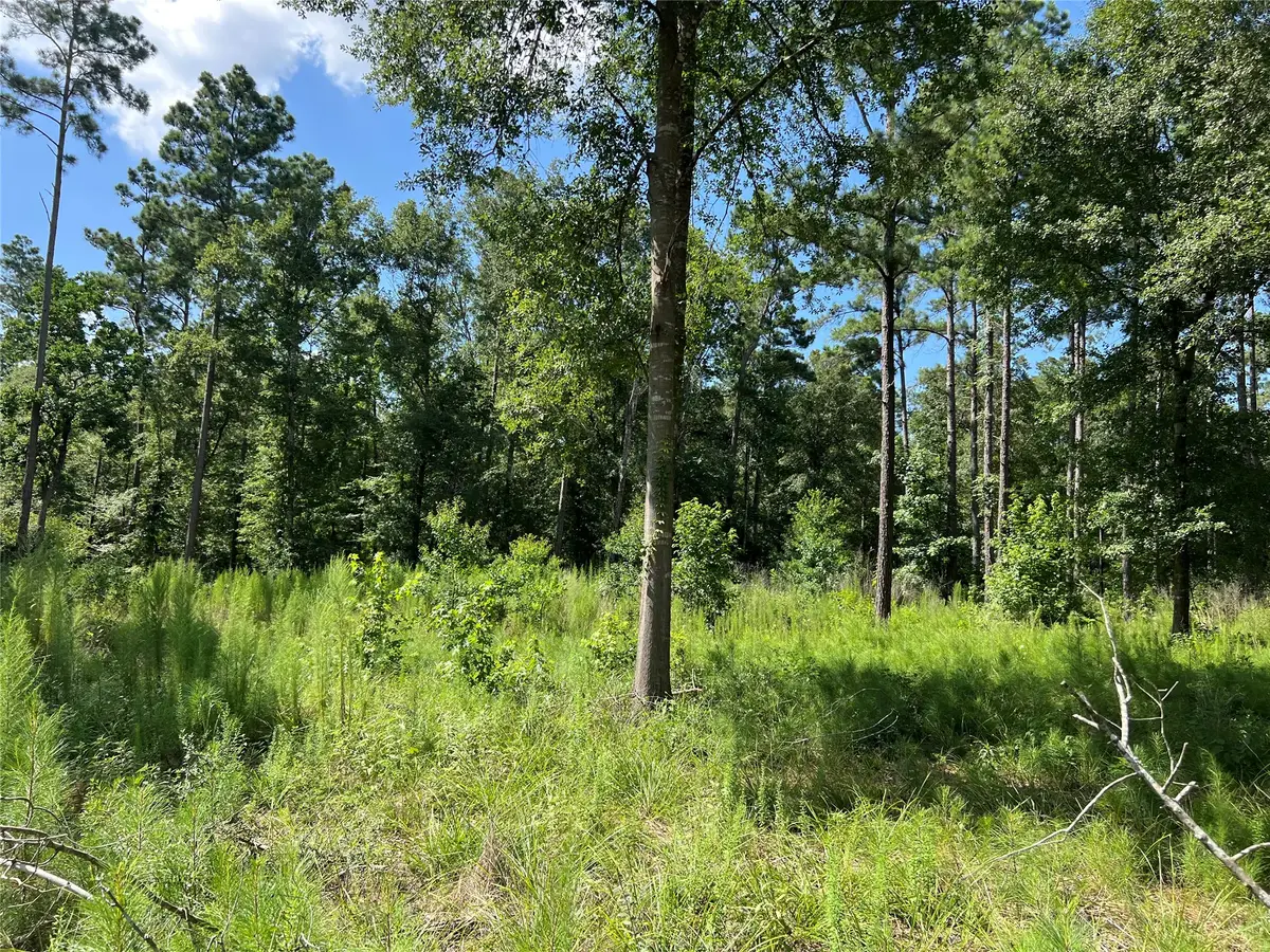641 Rolling Pines Drive, Livingston, TX 77351 - #1