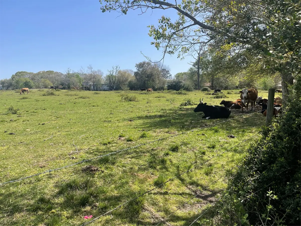 TBD County Rd 95/mustang Bayou Road, Manvel, TX 77578 - Image #1