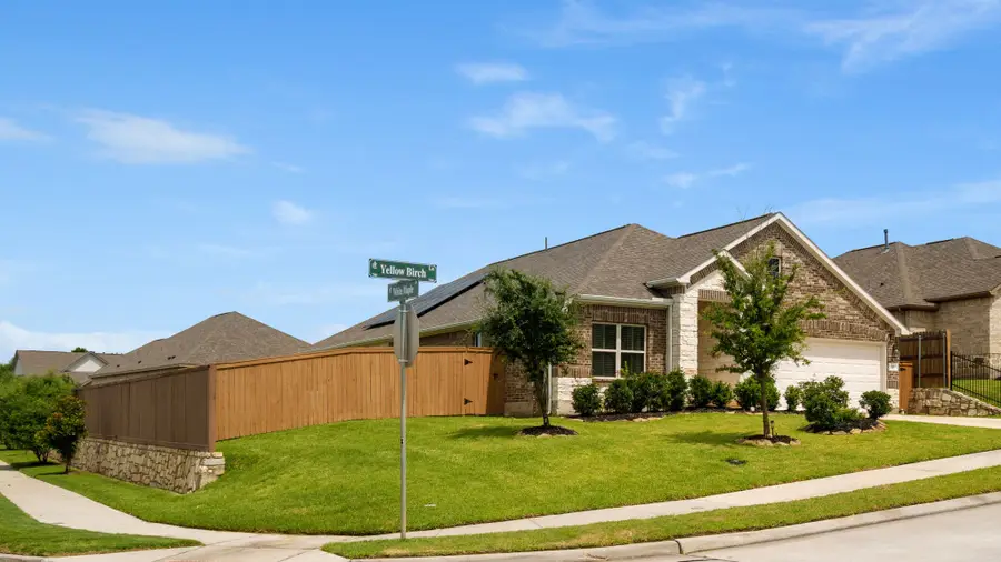 725 Yellow Birch Lane, Conroe, TX 77304 - #3
