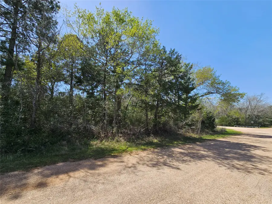 0 Park View Dr, Hempstead, TX 77445 - #3