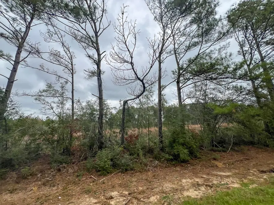 T-1 Highway 190, Newton, TX 75966 - Image #3