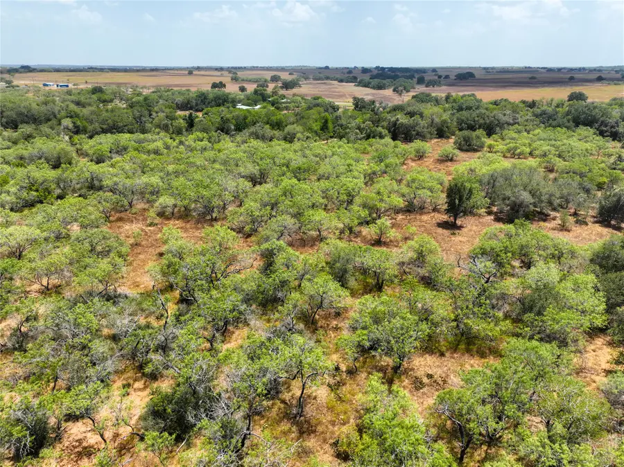 Lot 22 Cr 124 Road, Floresville, TX 78114 - #3