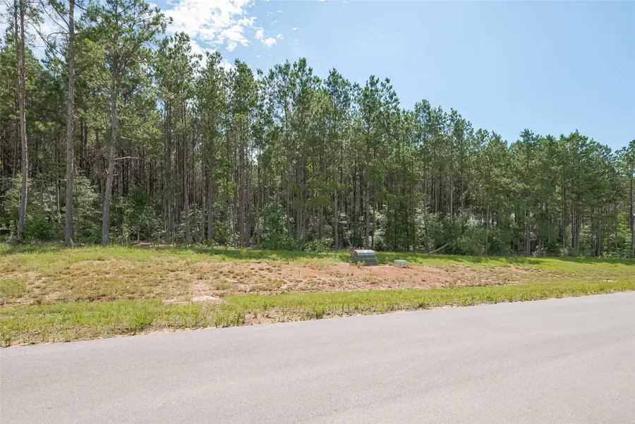 15831 Ridge Oak Road, Willis, TX 77378 - Image #3