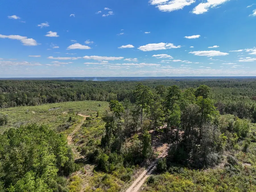 14 Fm 350, Livingston, TX 77351 - #3