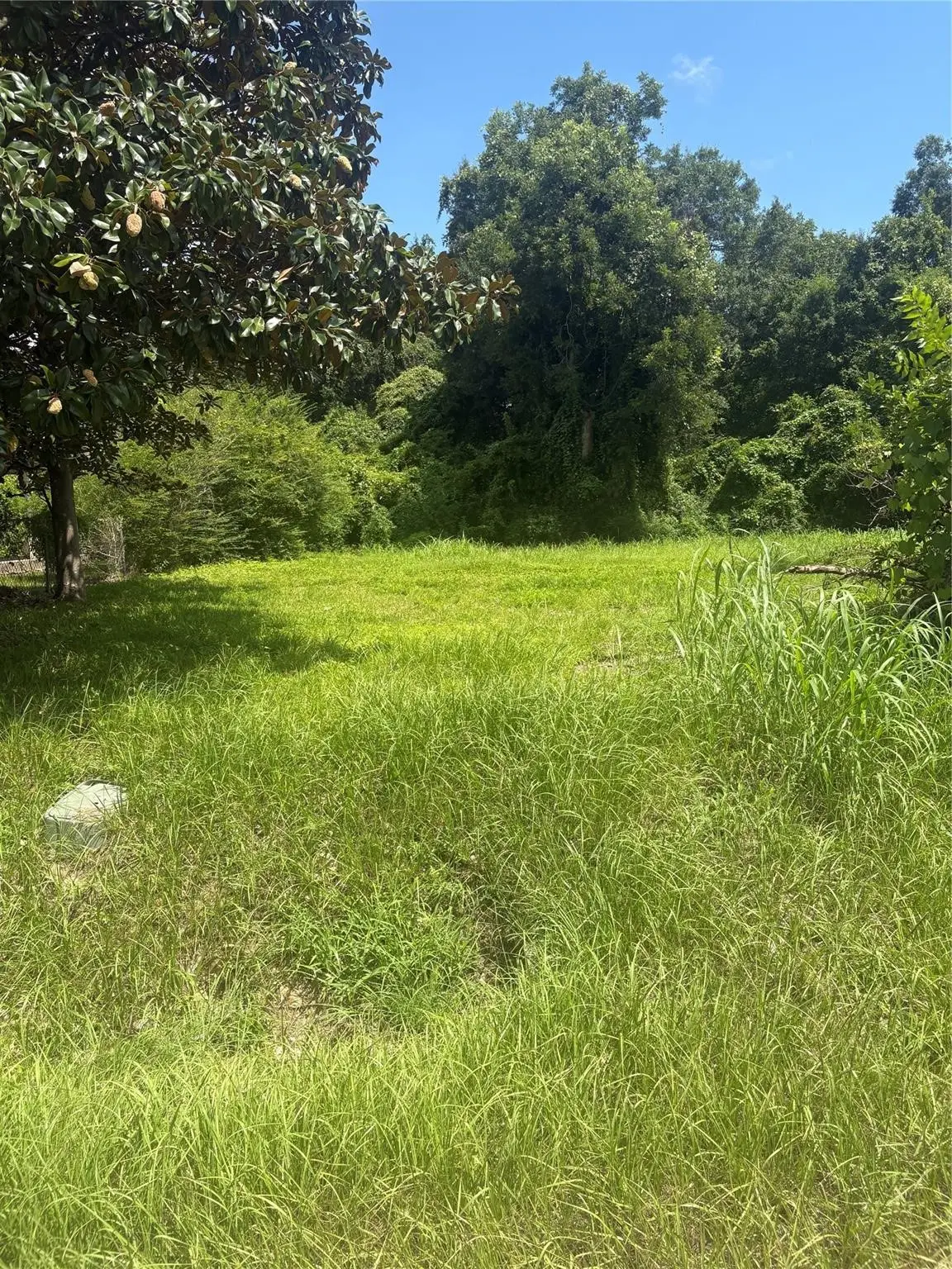 225 E Delaware Street, Beaumont, TX 77703 - #1